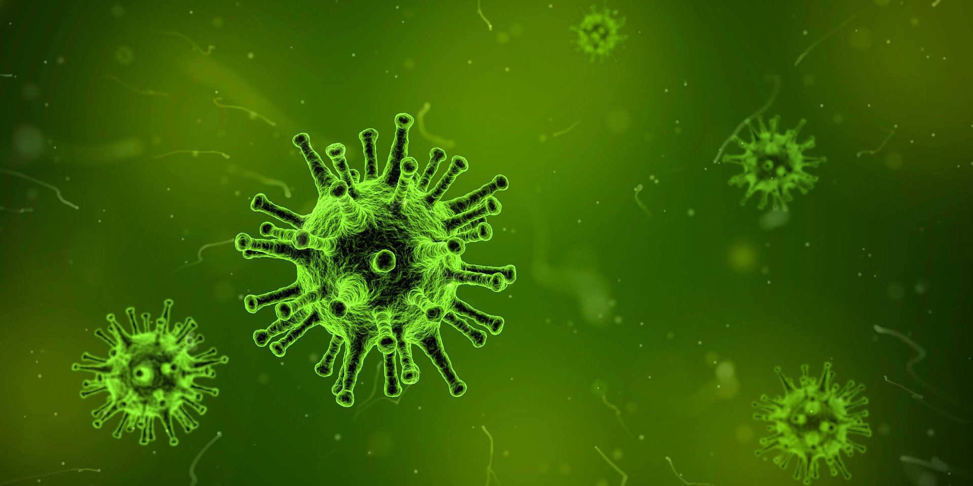 Stärkung der Modellierungskompetenz zur Ausbreitung schwerer Infektionskrankheiten