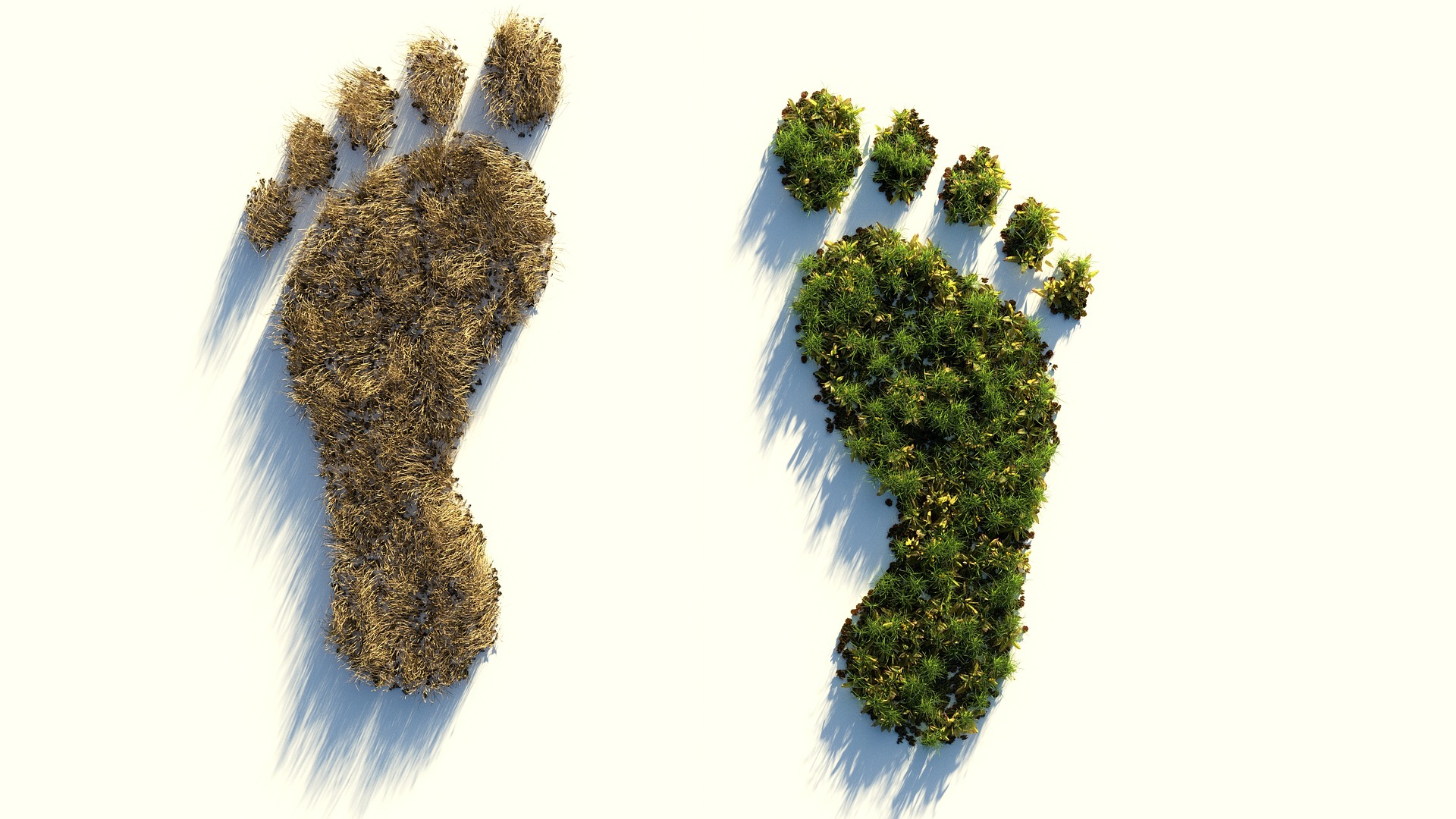 ecological-footprint-g562edfd16_1920