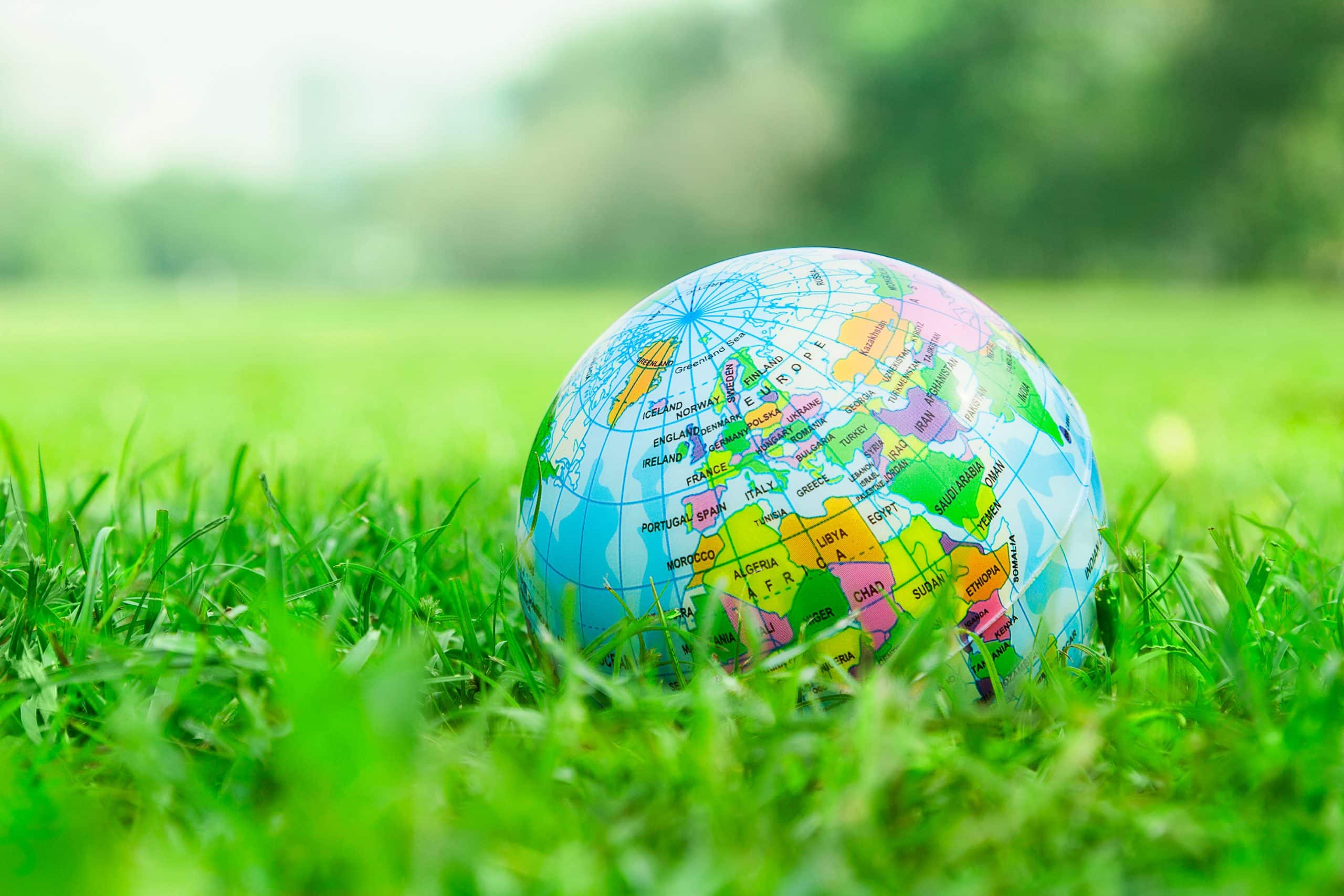 World,Globe,On,Grass,Field,With,Copy,Space