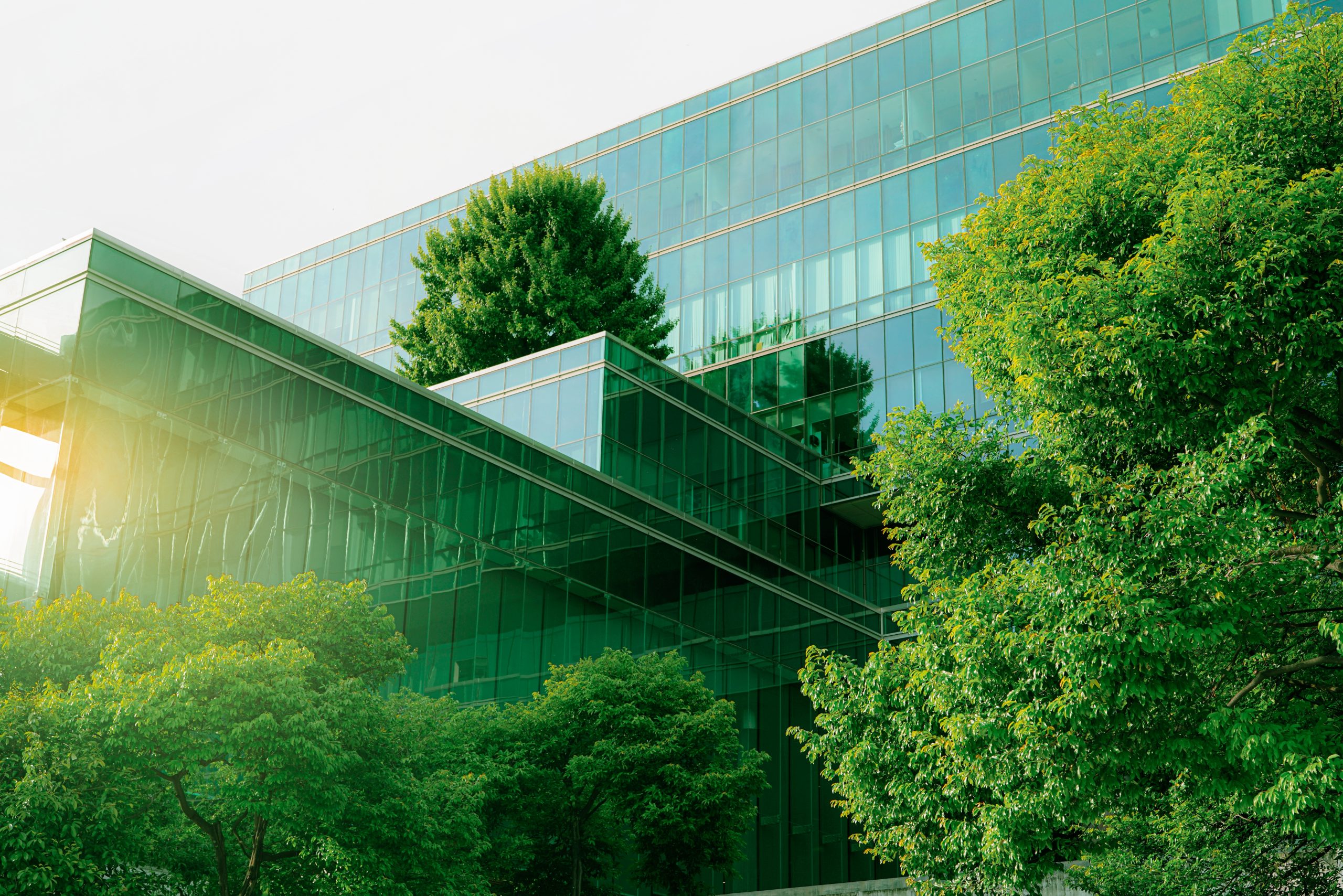 Sustainble,Green,Building.,Eco-friendly,Building.,Sustainable,Glass,Office,Building,With