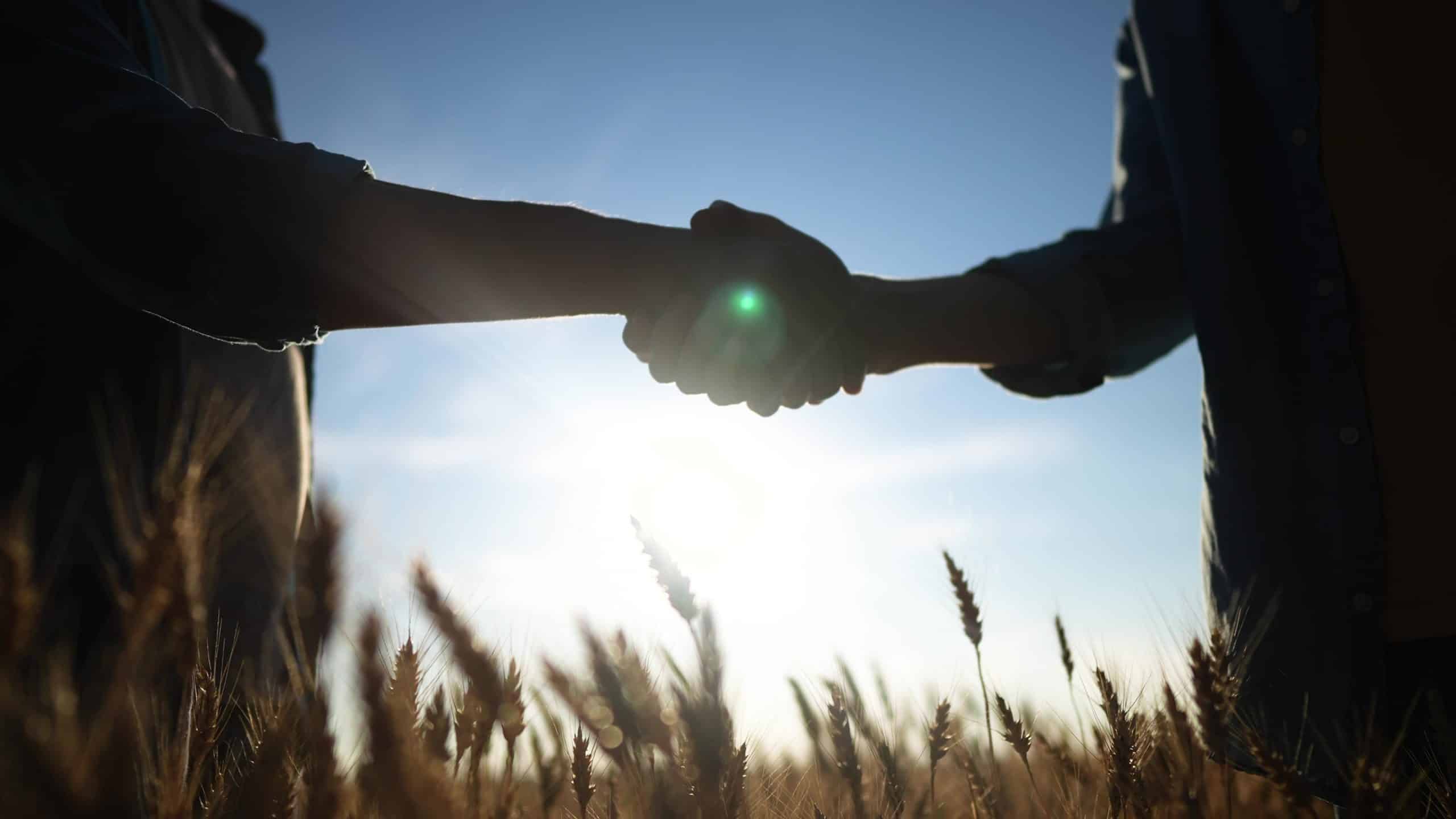 Handshake,Farmer,Wheat.,Business,Partnership,Agriculture,Concept.,Silhouette,Two,Farmers