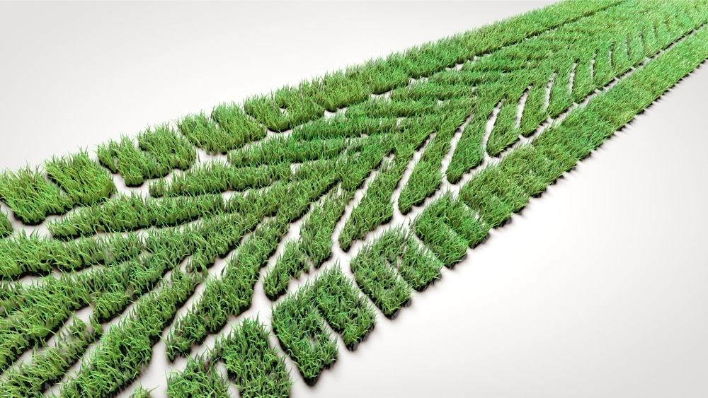 Mobilitätswende 2025/2 – Mobilitätssystem